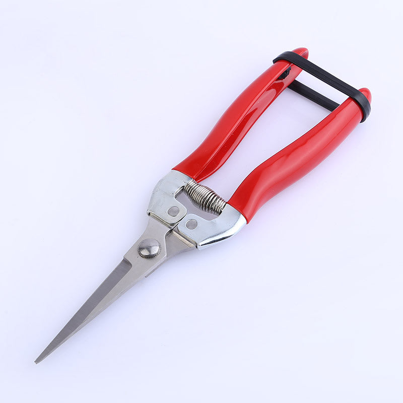 Stainless steel pruning shears